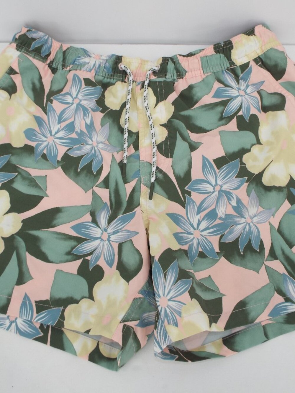 American Eagle Outfitters Swim Trunks